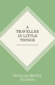 A Traveller in Little Things