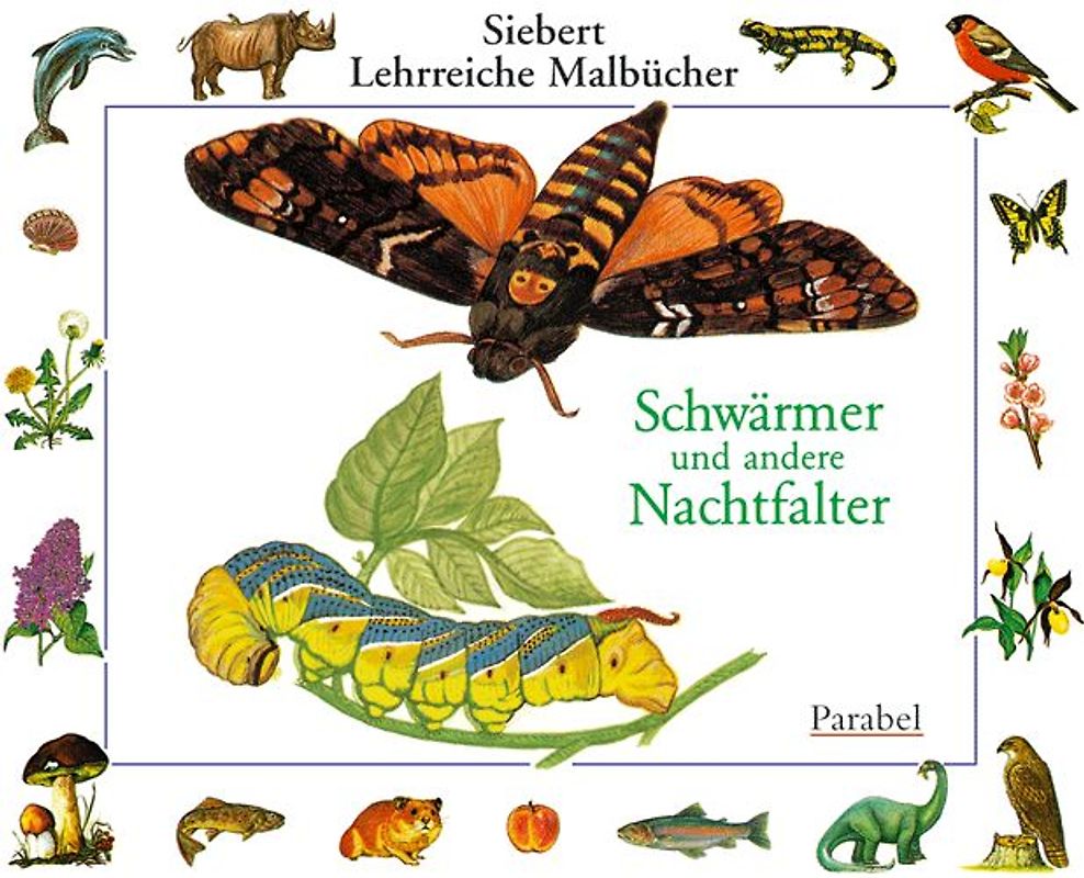 Schwärmer und Nachtfalter. Malbuch