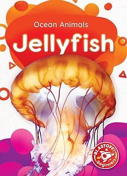 Jellyfish