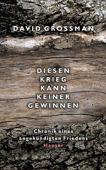 Diesen Krieg kann keiner gewinnen