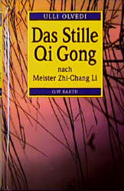 Das stille Qi Gong nach Meister Zhi-Chang Li. Vitalisierung und Harmonisierung der Lebenskräfte durch meditative Energiearbeit