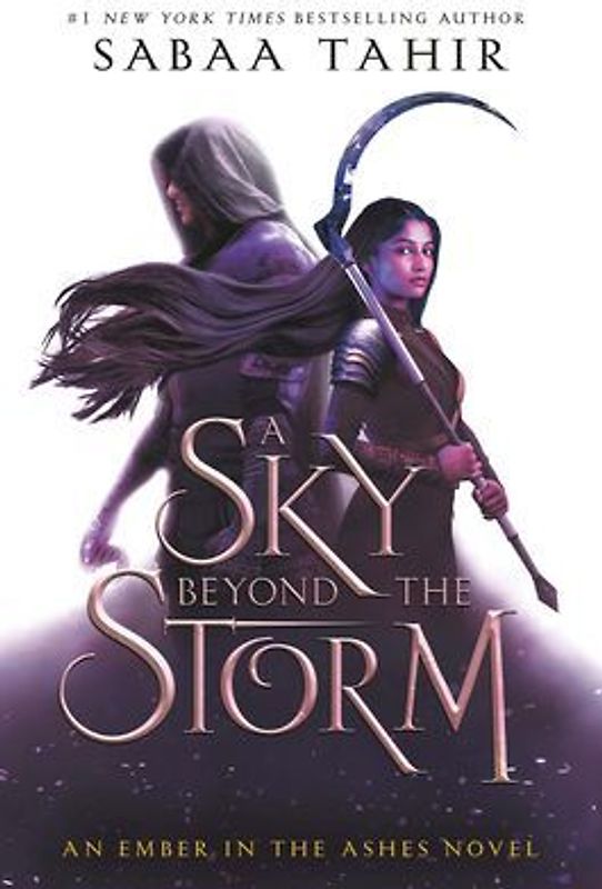 A Sky Beyond the Storm