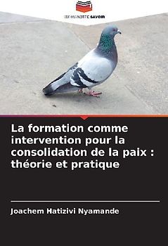 La formation comme intervention pour la consolidation de la paix : théorie et pratique
