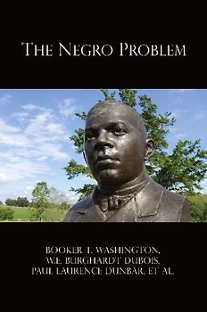 The Negro Problem