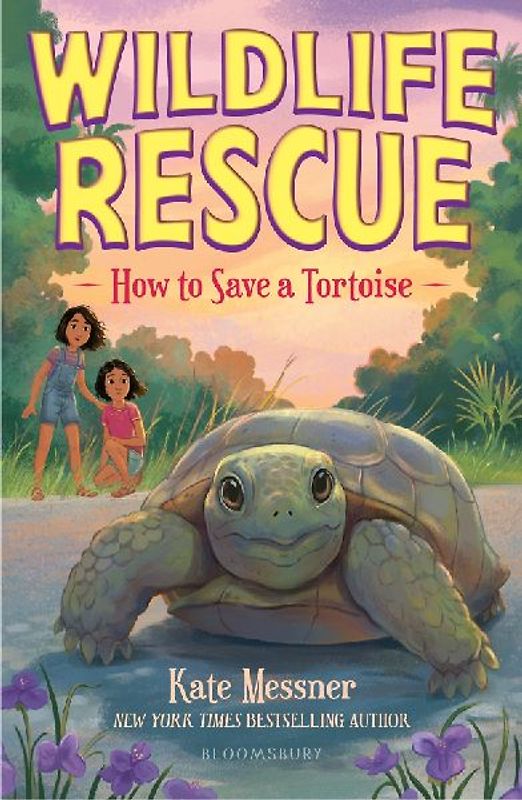 How to Save a Tortoise