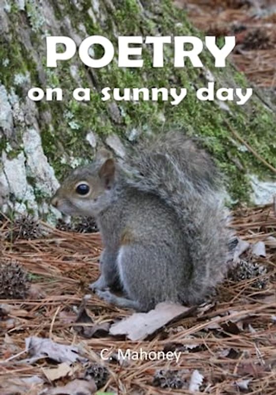 Poetry on a sunny day