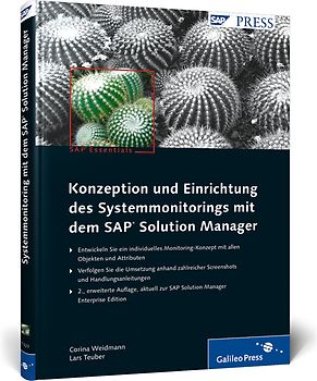 Konzeption und Einrichtung des Systemmonitorings mit dem SAP Solution Manager