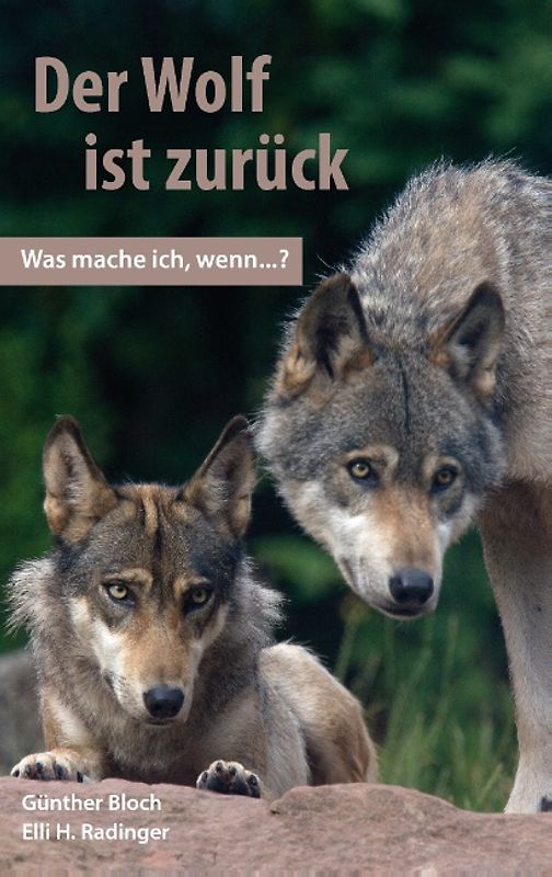 Der Wolf ist zurück. Was mache ich, wenn ...?