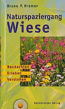 Naturspaziergang Wiese