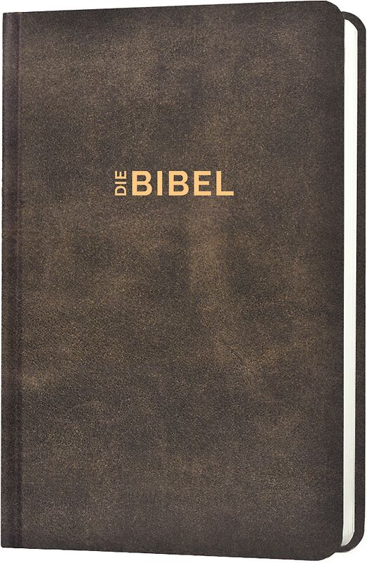 Schlachter 2000 Bibel - Taschenausgabe (Hardcover, illustrierter Einband, Antikleder-Optik)