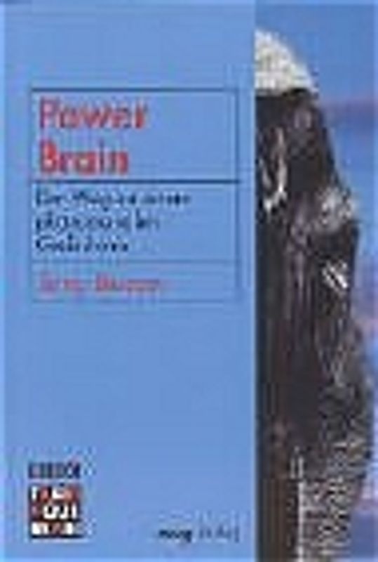 Power Brain. Ihr Weg zu einem phänomenalen Gedächtnis