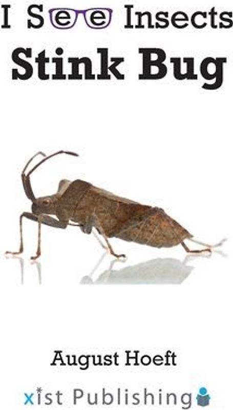 Stink Bug