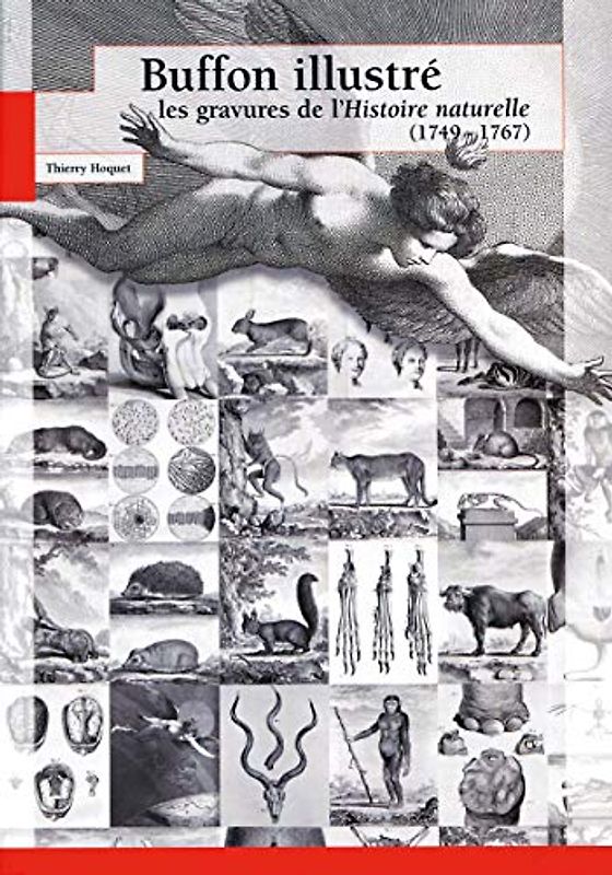 Buffon: Les Gravures De L'histoire Naturelle 1749-1767