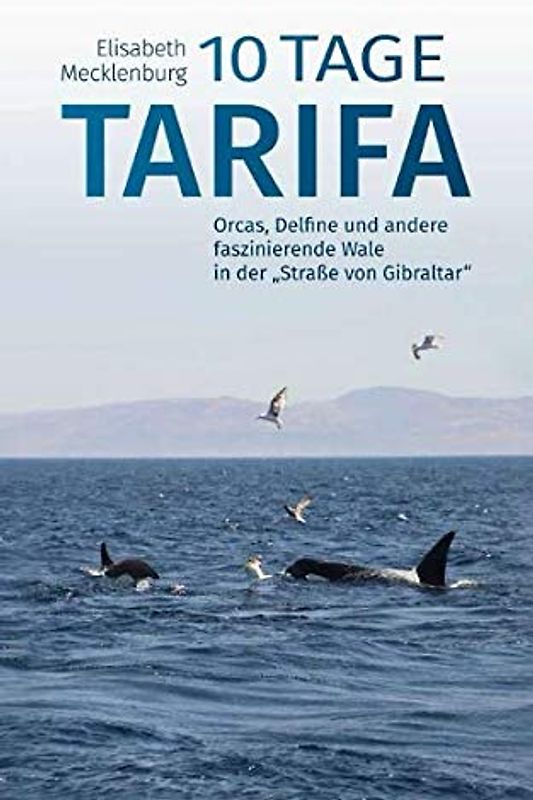 10 Tage Tarifa: Orcas, Delfine und andere faszinierende Wale in der "Straße von Gibraltar"