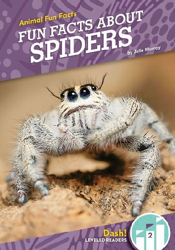 Fun Facts about Spiders