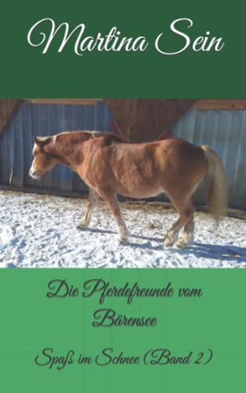 Die Pferdefreunde vom Bärensee: Spaß im Schnee