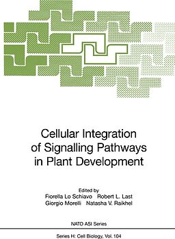 Cellular Integration of Signalling Pathways in Plant Development