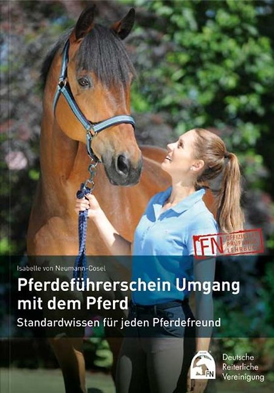 Pferdeführerschein Umgang mit dem Pferd