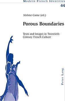 Porous Boundaries