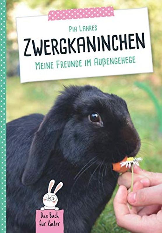 Zwergkaninchen: Meine Freunde im Außengehege