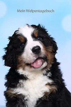 Mein Welpentagebuch: die ersten Monate mit meinem Berner Sennenhund