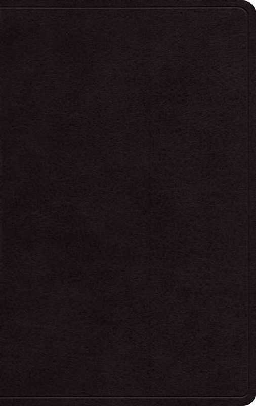 ESV Giant Print Personal Size Bible, Red Letter (Genuine Leather, Black)