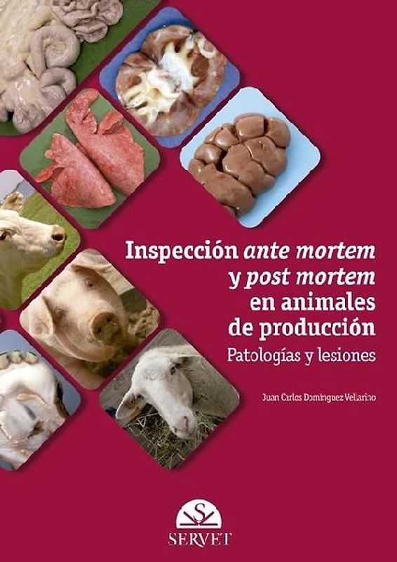 Inspección Ante Mortem Y Post Mortem En Animales de Producción