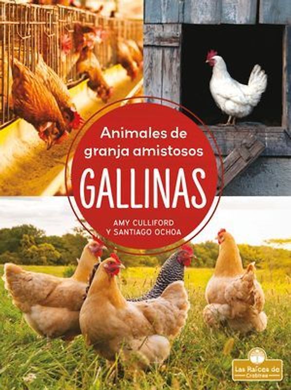 Gallinas (Chickens)