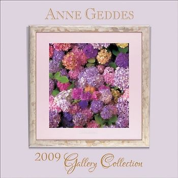 Geddes Gallery Collection 2009 Wall Calendar.