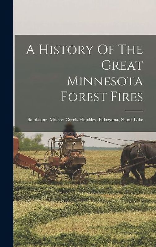 A History Of The Great Minnesota Forest Fires