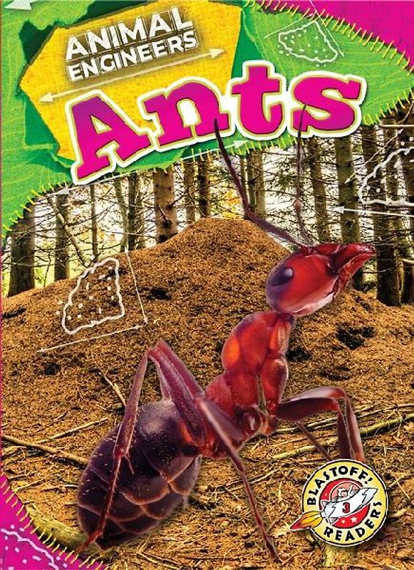Ants