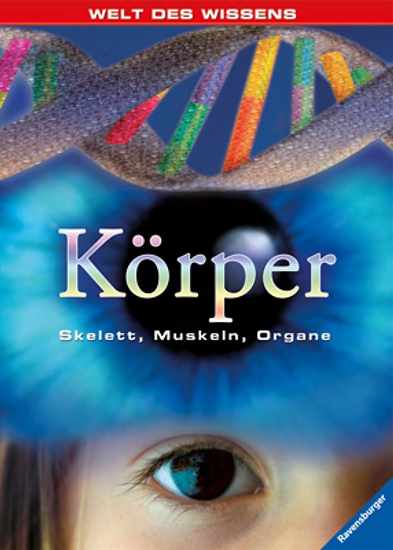 Körper