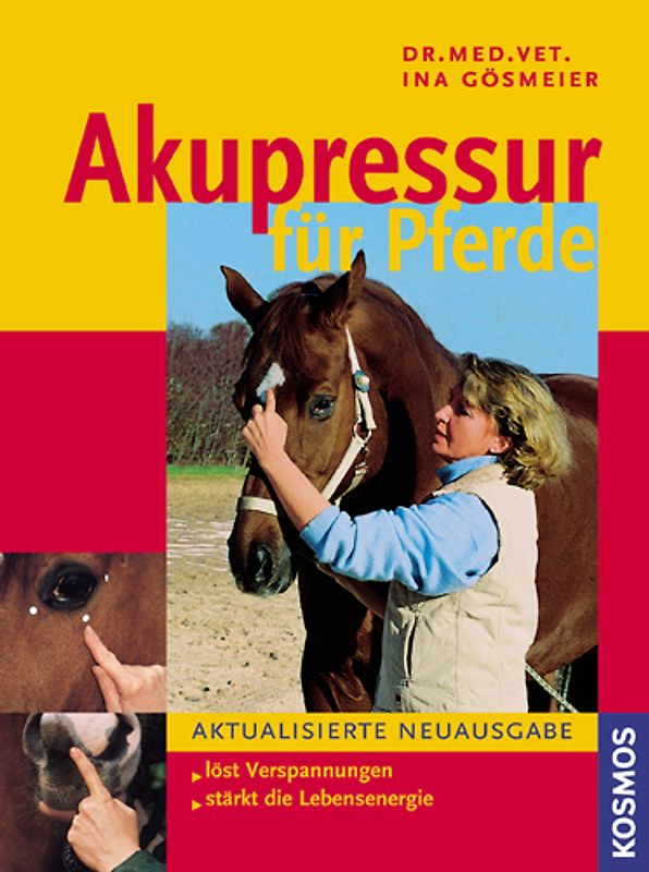 Akupressur für Pferde