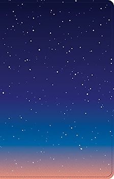 CSB Kids Bible, Thinline Edition, Space Leathertouch