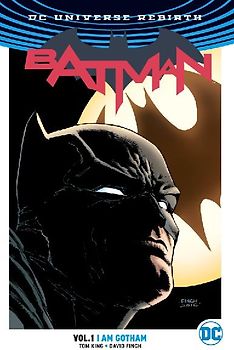 Batman Vol. 1: I Am Gotham (2024 Edition)