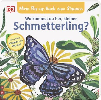 Mein Pop-up-Buch zum Staunen. Wo kommst du her, kleiner Schmetterling?