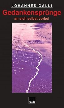 Gedankensprünge an sich selbst vorbei (Band 4)