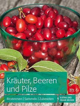 Kräuter, Beeren und Pilze