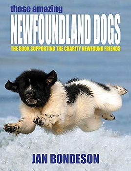 Those Amazing Newfoundland Dogs
