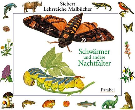 Schwärmer und Nachtfalter. Malbuch