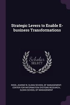 Strategic Levers to Enable E-business Transformations
