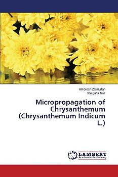 Micropropagation of Chrysanthemum (Chrysanthemum Indicum L.)