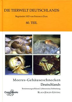 Meeres-Gehäuseschnecken Deutschlands