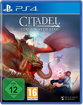 Citadel Forged with Fire PlayStation 4