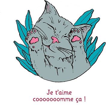 Je t'aime cooooooomme ça ! - Illustré par Anne Bory