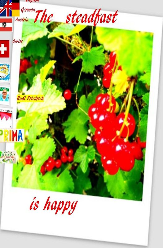 The steadfast is happy German English Swiss Austria Shqiptare