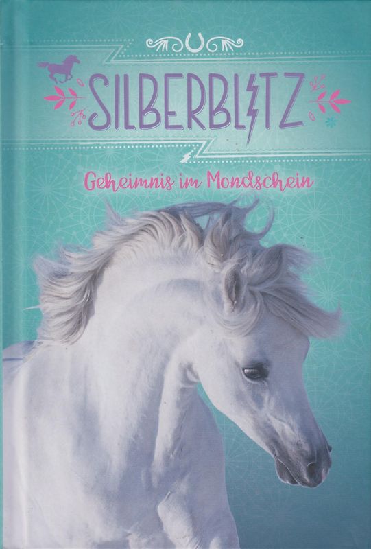 Silberblitz: Geheimnis im Mondschein