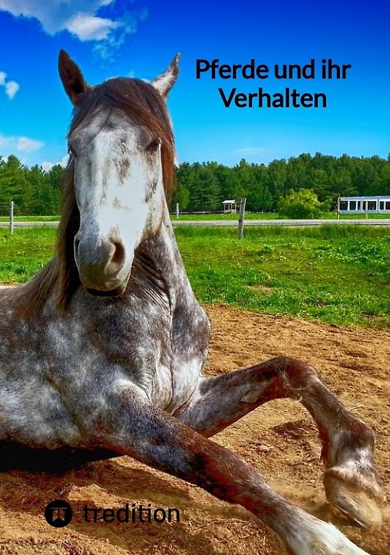 Pferde und ihr Verhalten