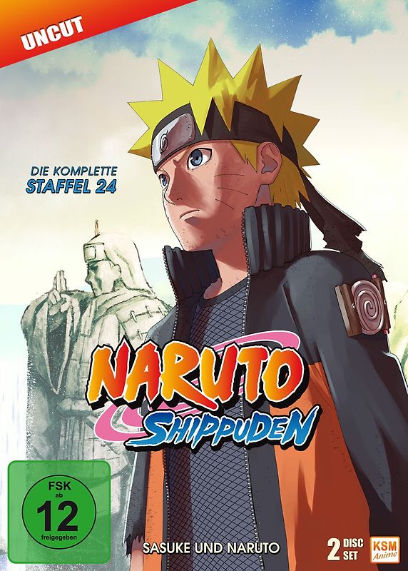 Naruto Shippuden - Die komplette Staffel 24 [2 DVDs] DVD