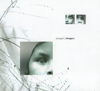 Polygon - Images